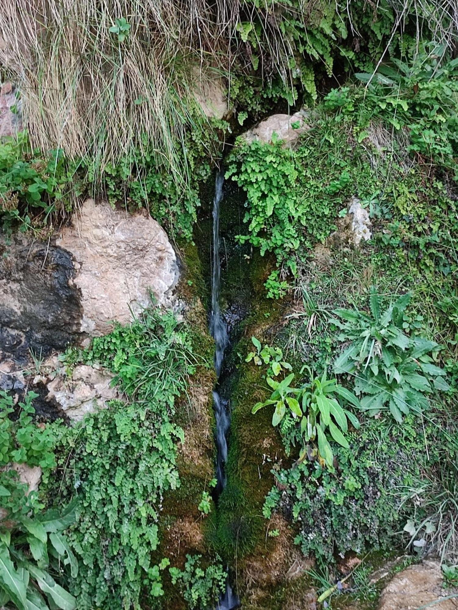 El Canton Bogarra Esterno foto